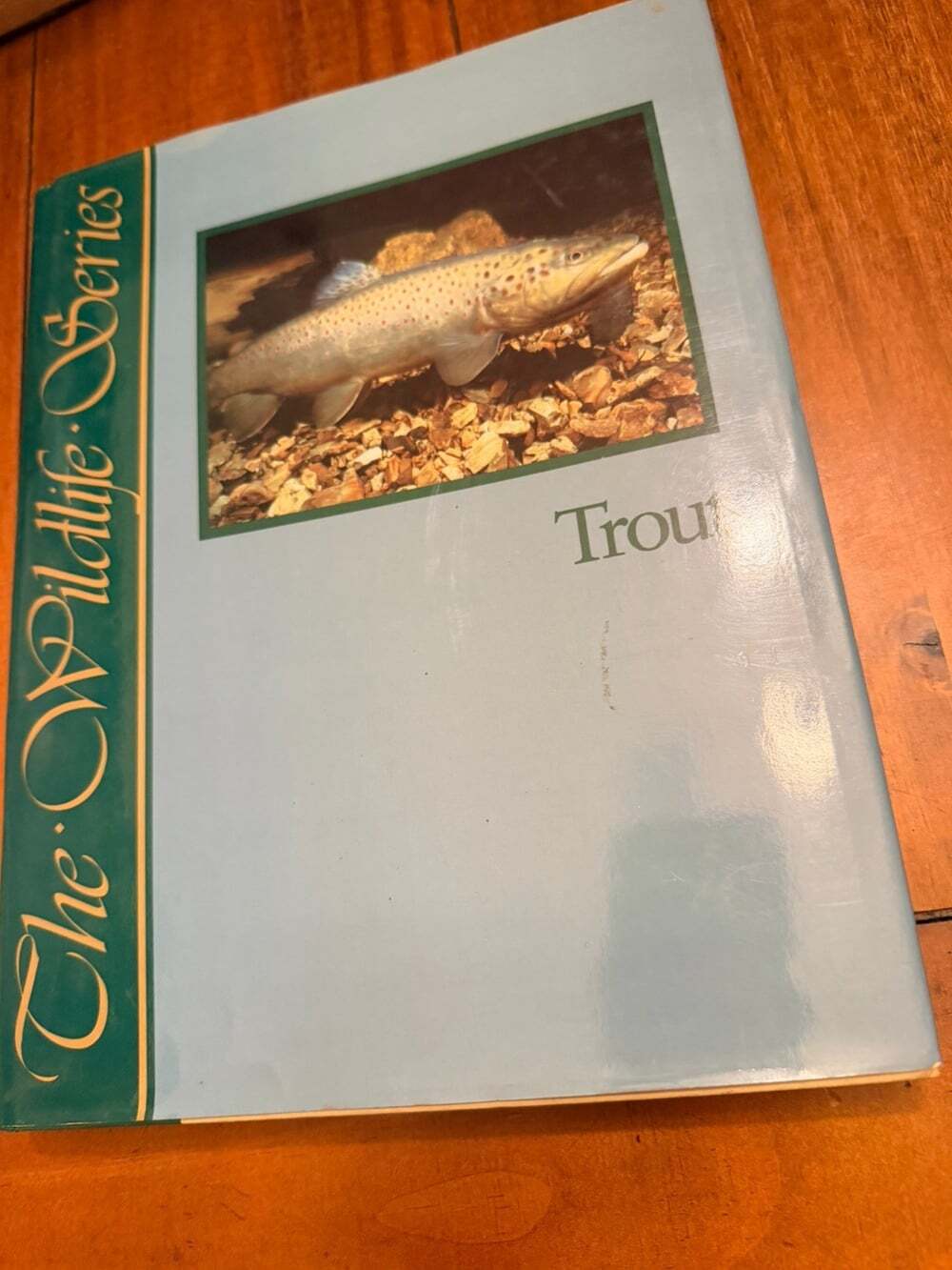 The Wildlife Series: Trout by Judith Stolz & Judith Schnell, HCDJ 1991